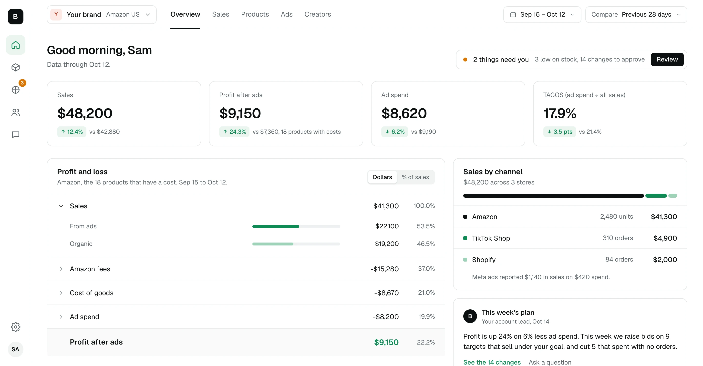 Overview: sales, profit after ads, ad spend and TACOS, a profit and loss, and sales by channel.